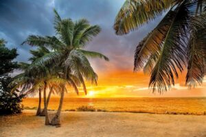 A breathtaking beach at sunrise. We see the sand and waves and and the orange glow of the sun in the horizon. There are palm fronds hanging close up in front of our view on the right side and a couple palm trees on the beach on our left side.