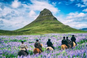There are 6 people on horseback riding through a field of purple flowers. In the background is a large green and brown skinny pointy hill. There is a lot of green grass at the foot of the hill and around it. The sky is blue with lots of white clouds.