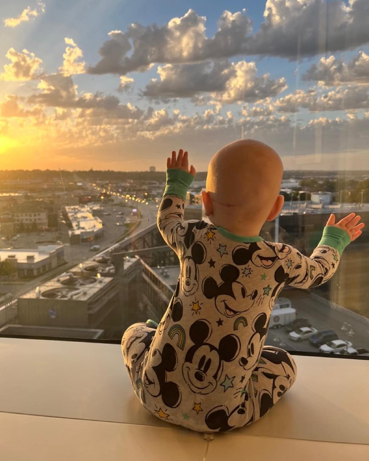 Freddie sitting on the hospital window sill looking out at the city as the sun rises